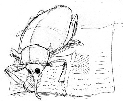 Cartoon Sketch of a Weevil Reading the Newspaper